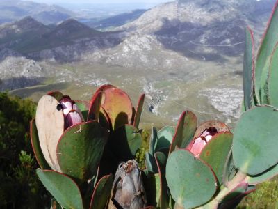 Image related to website content Image related to website content