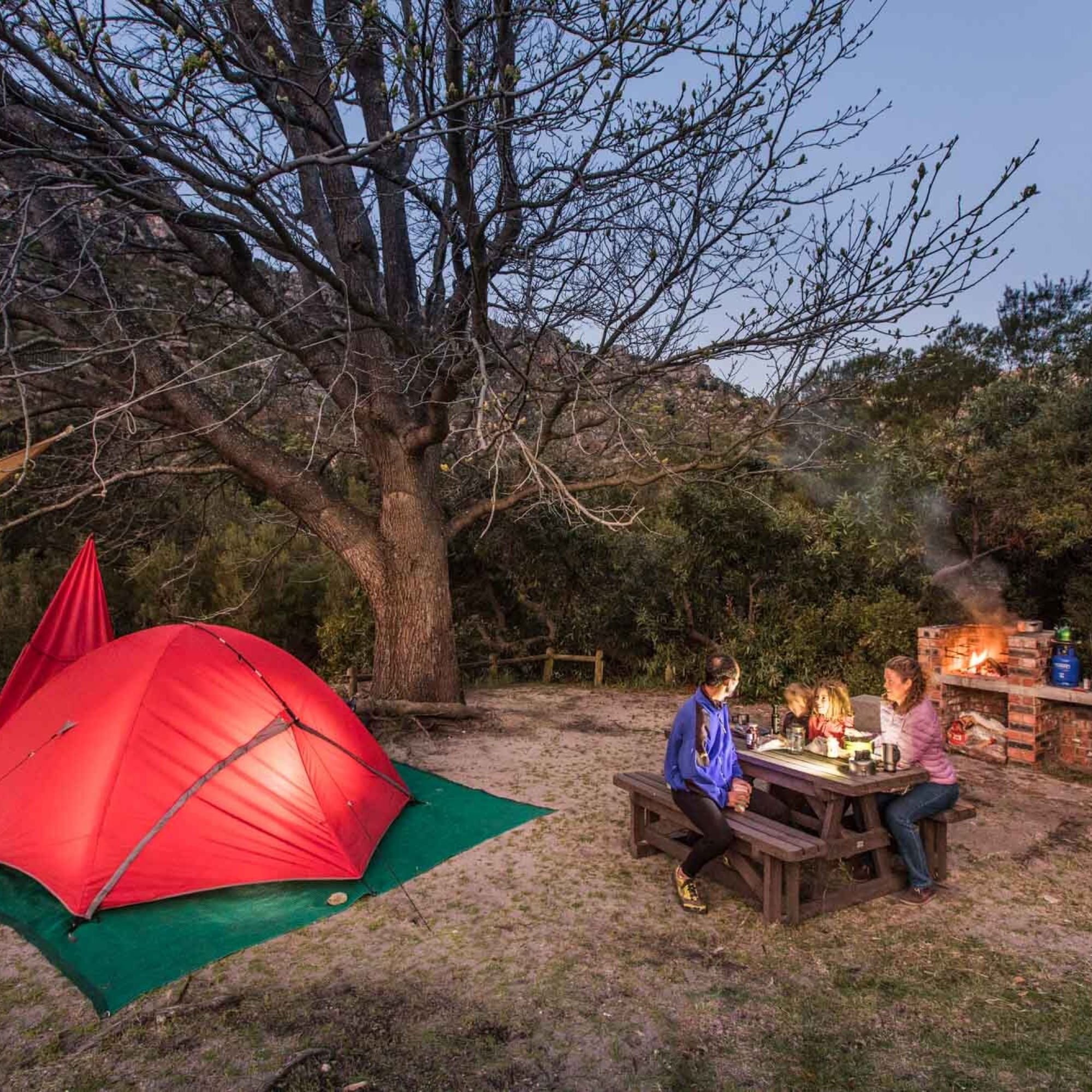 Image related to website content Image related to website content