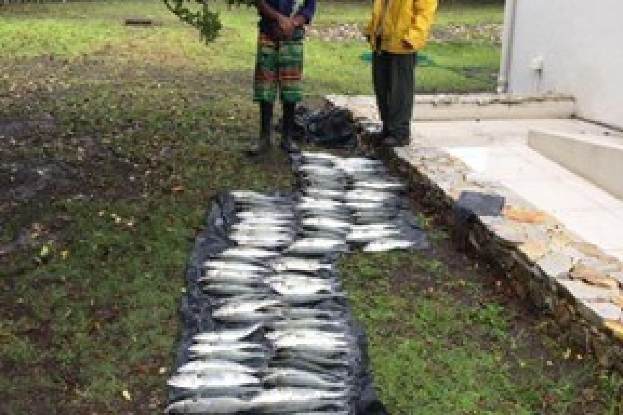 Image related to website content Image related to website content