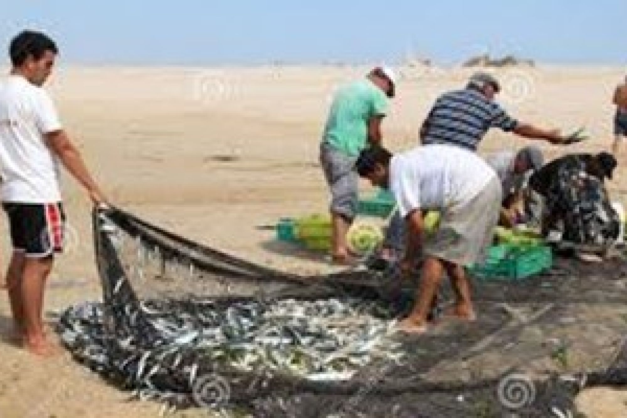 Image related to website content Image related to website content