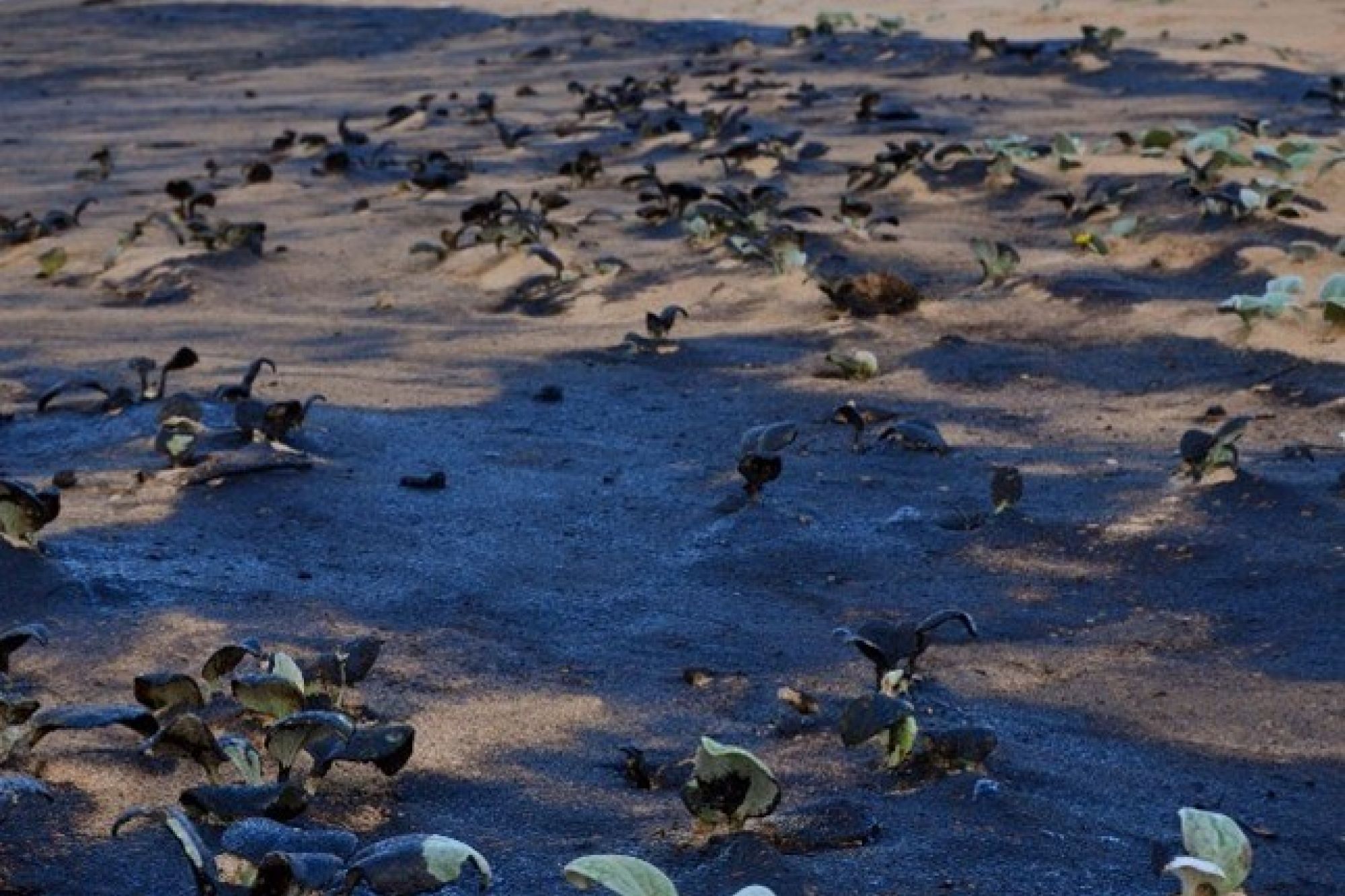 Image related to website content Image related to website content