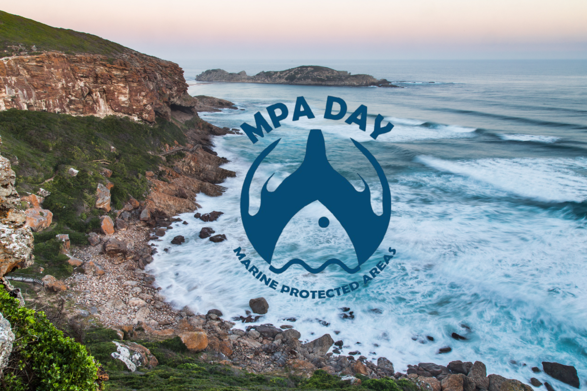 Image related to website content Image related to website content