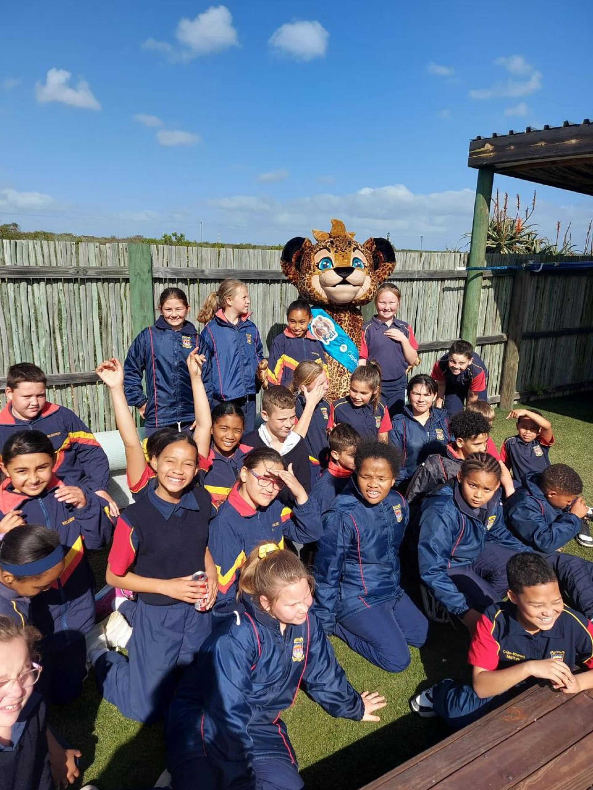 Image related to website content Image related to website content