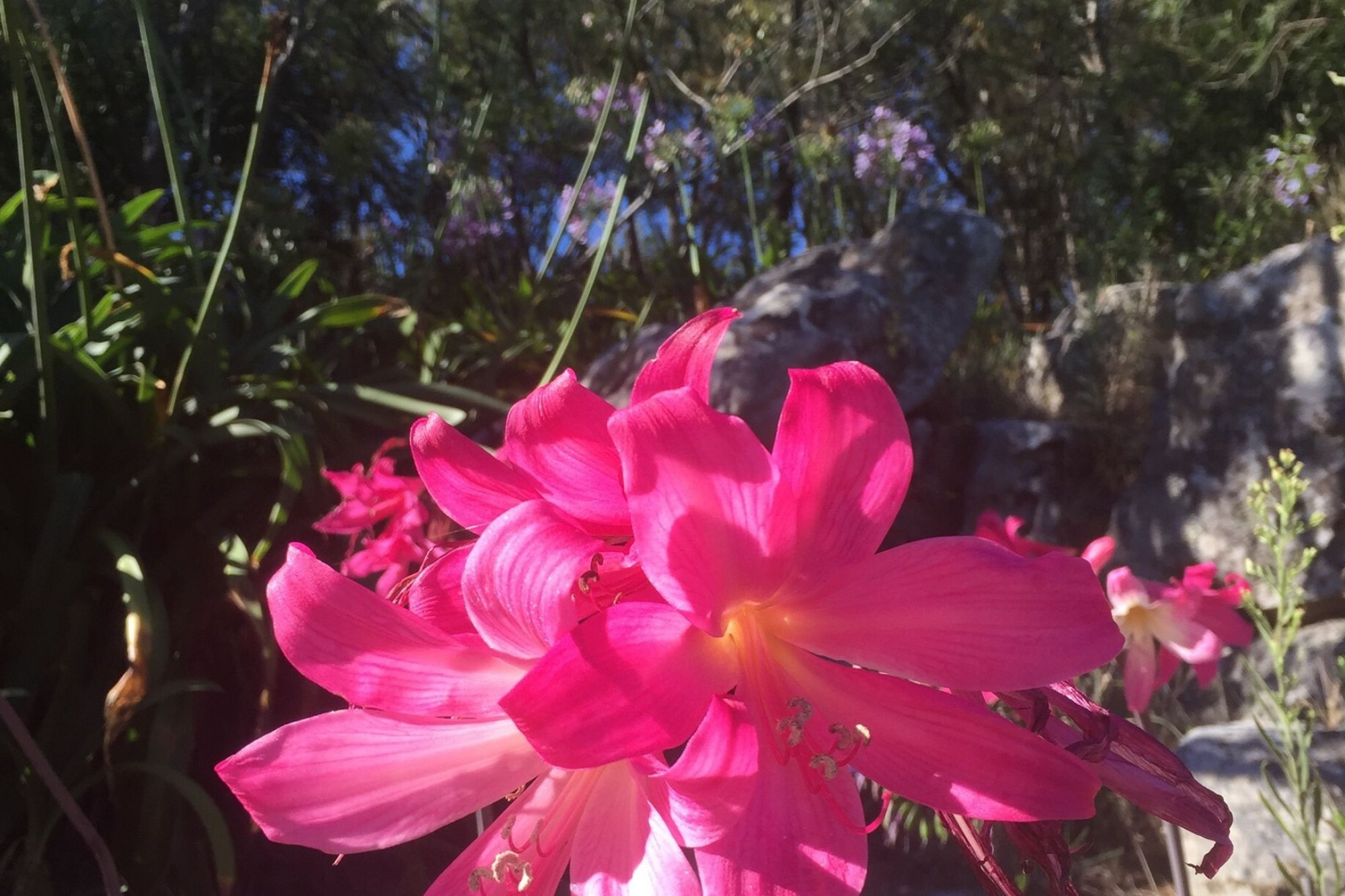 Image related to website content Image related to website content