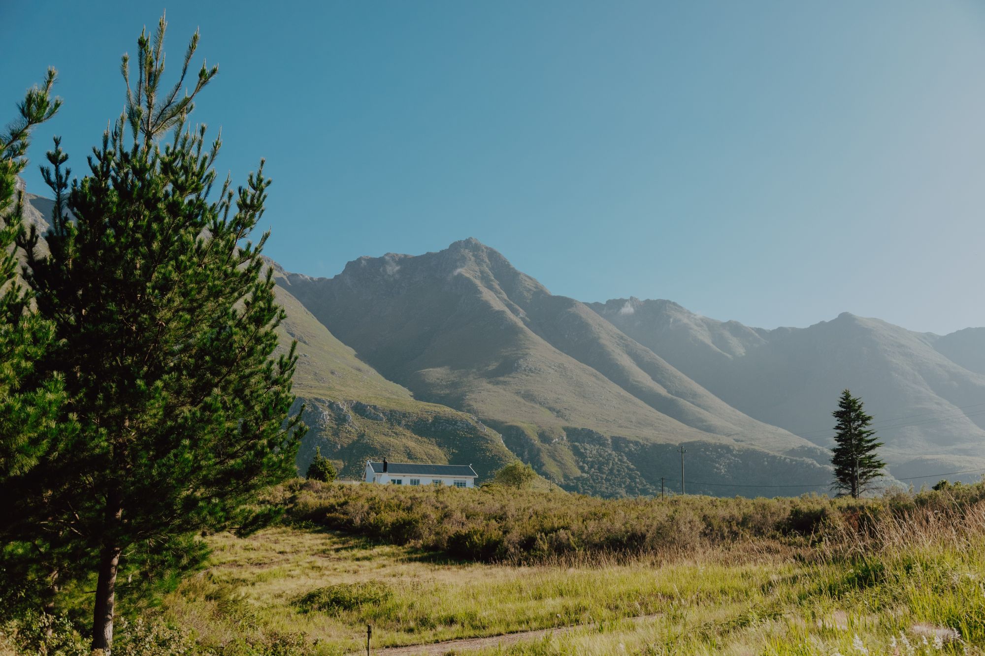 Image related to website content Image related to website content