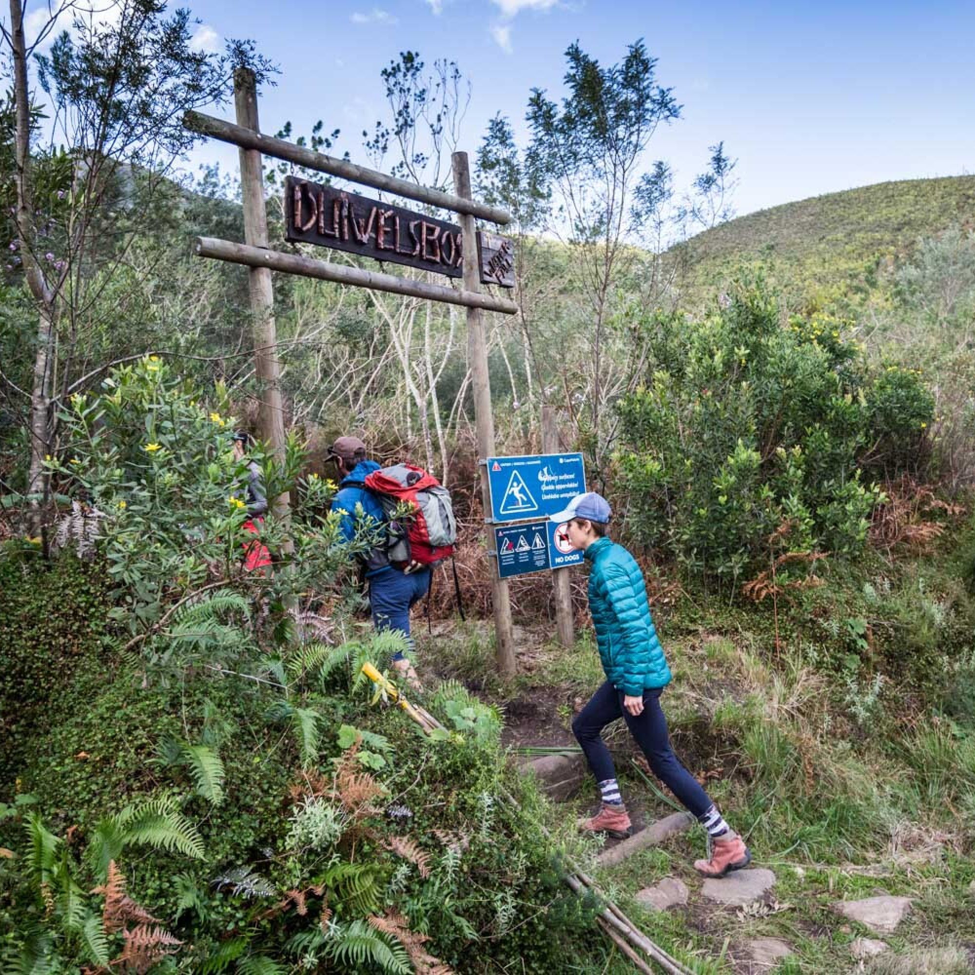 Image related to website content Image related to website content