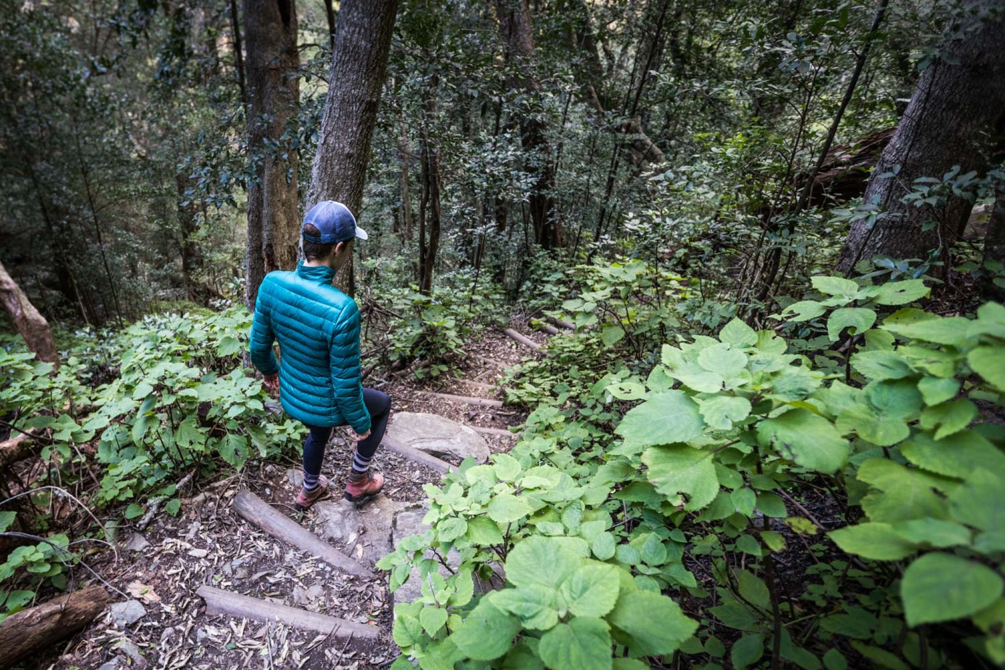 Image related to website content Image related to website content