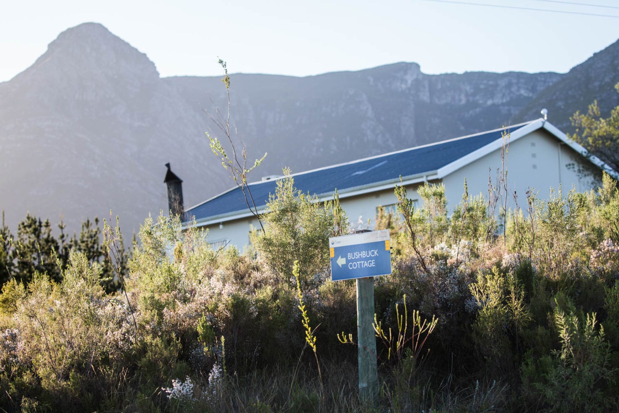 Image related to website content Image related to website content