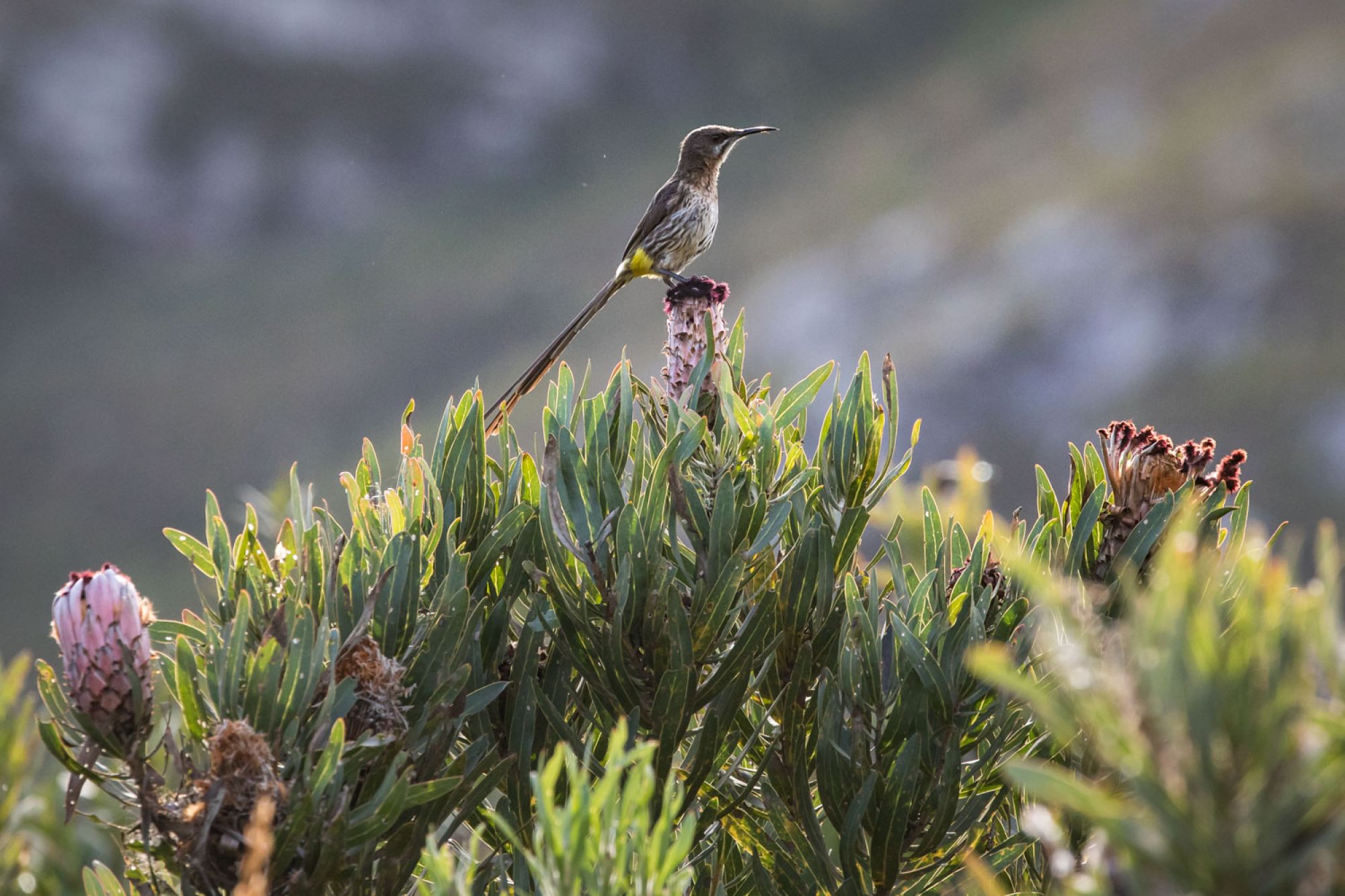 Image related to website content Image related to website content