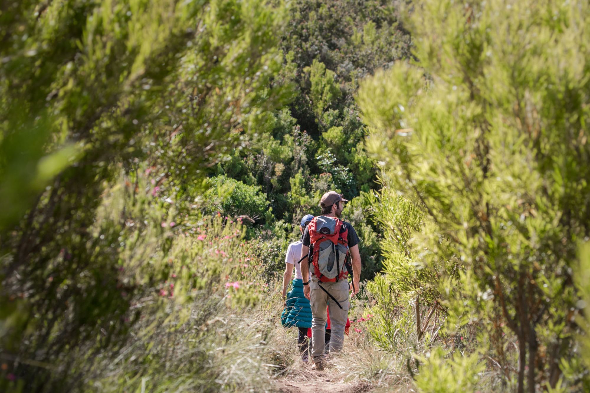 Image related to website content Image related to website content