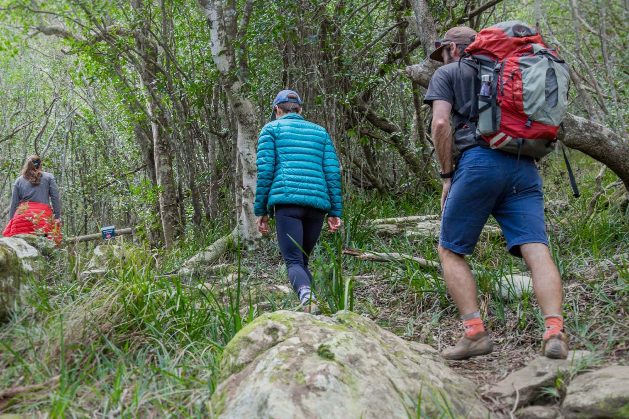 Image related to website content Image related to website content