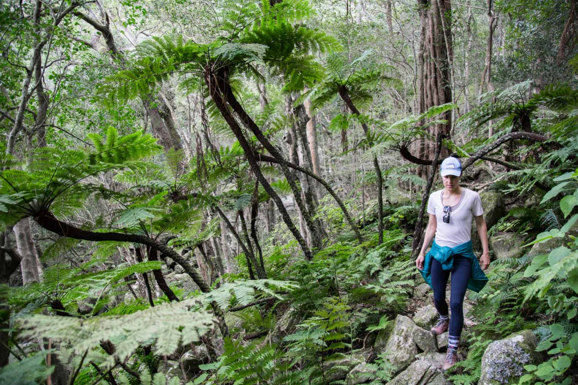 Image related to website content Image related to website content