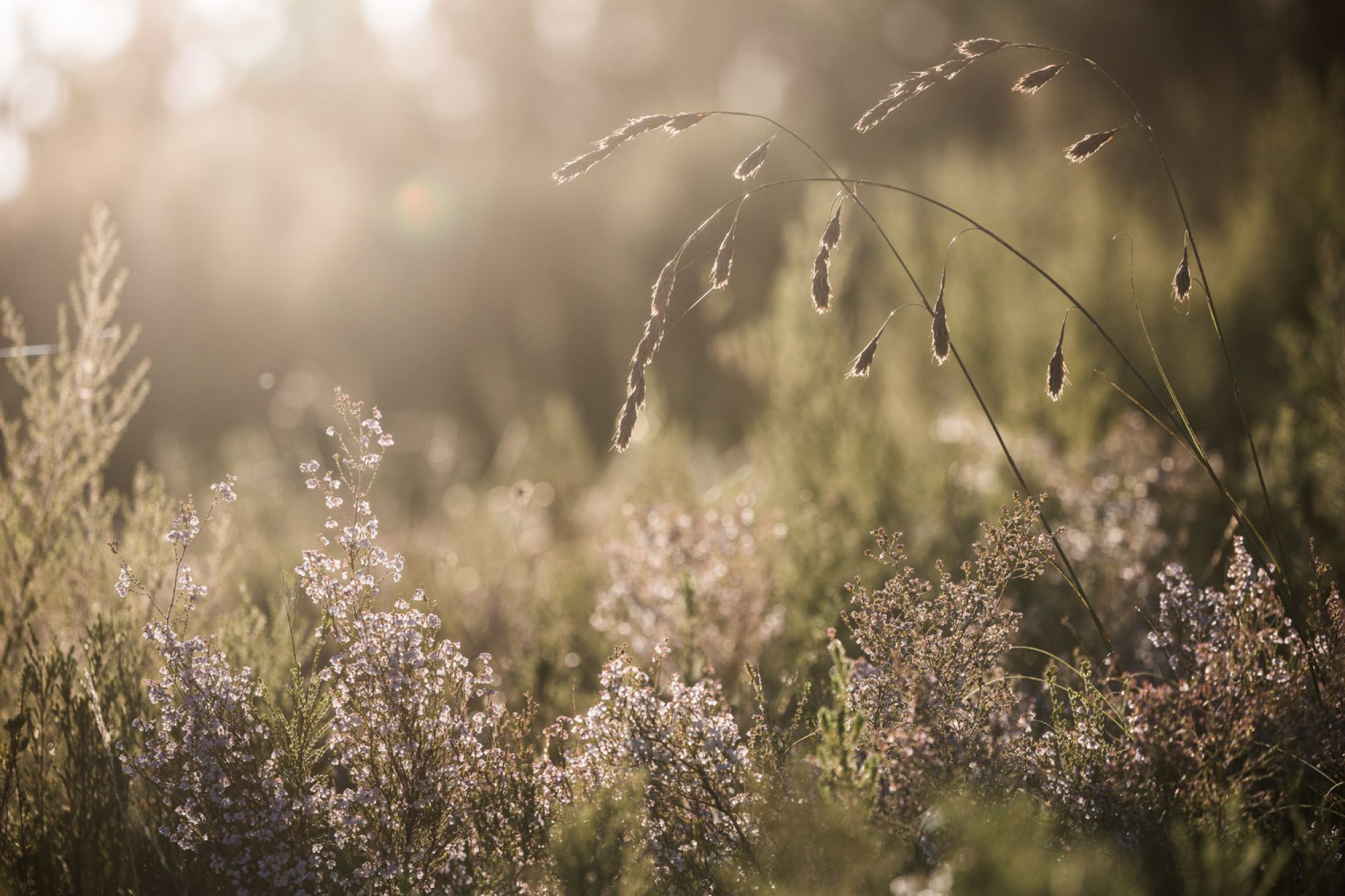 Image related to website content Image related to website content