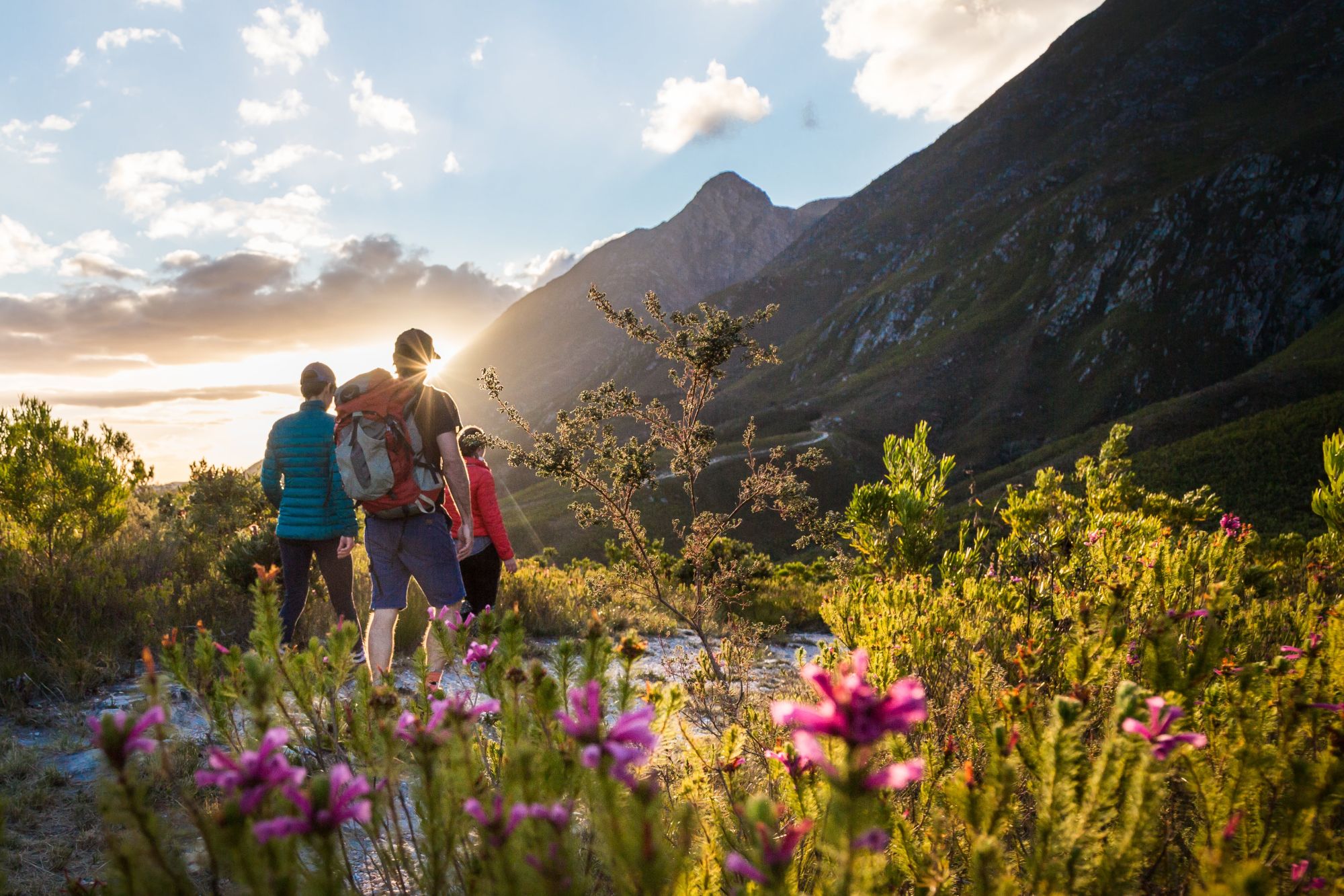 Image related to website content Image related to website content