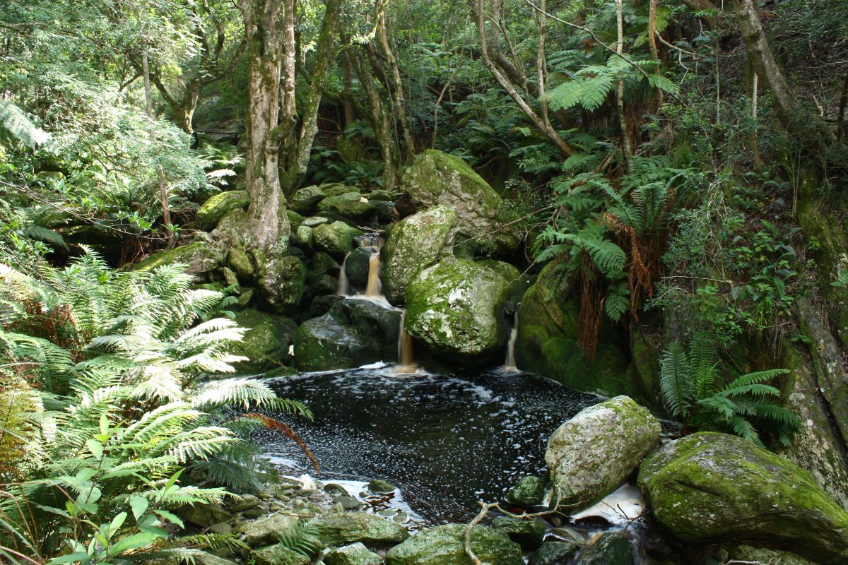 Marloth Watervalkloof Marloth Watervalkloof