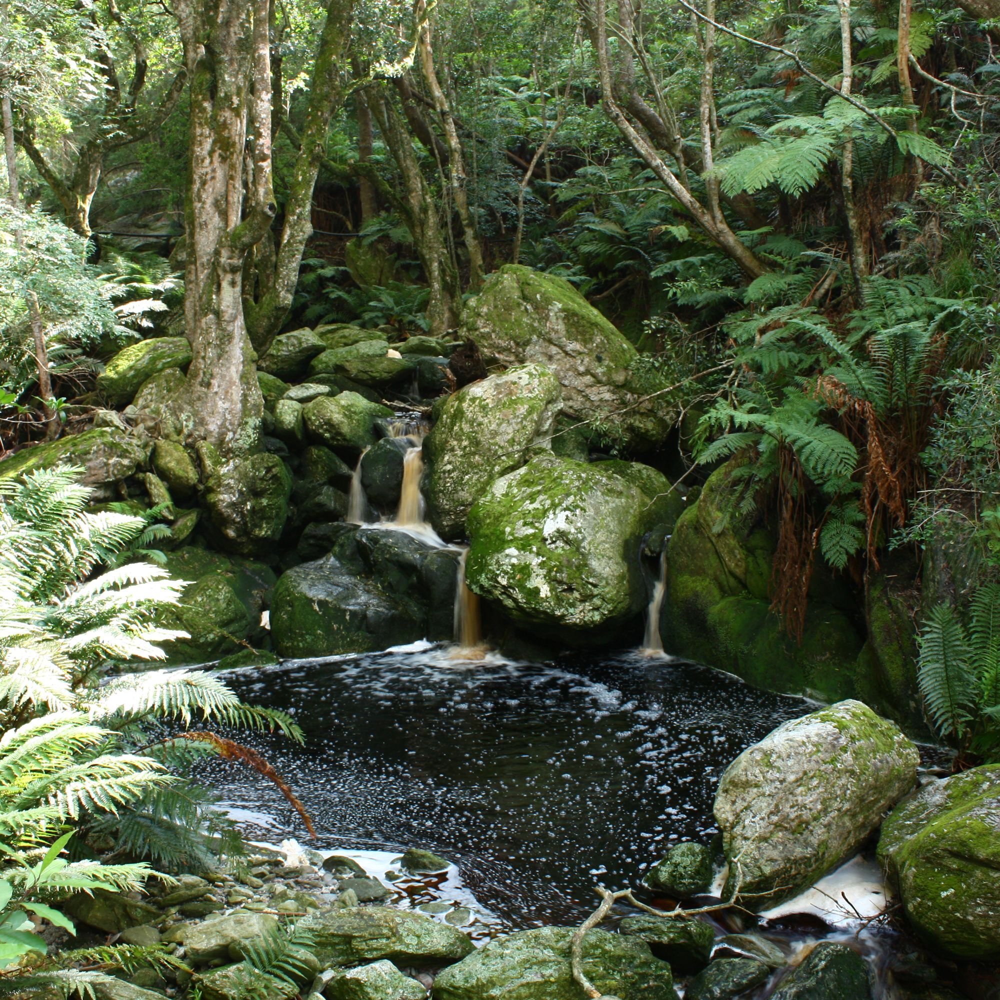Marloth Watervalkloof Marloth Watervalkloof
