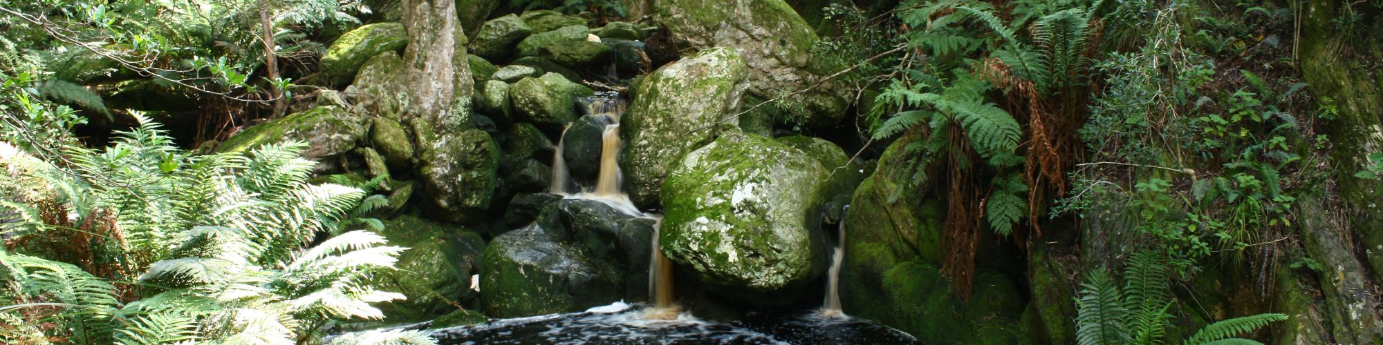 Marloth Watervalkloof Marloth Watervalkloof