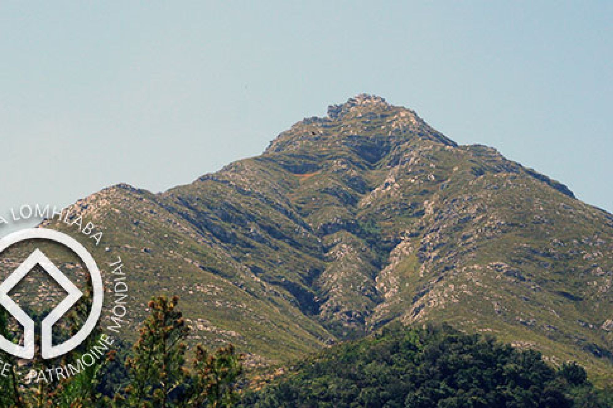 Image related to website content Image related to website content