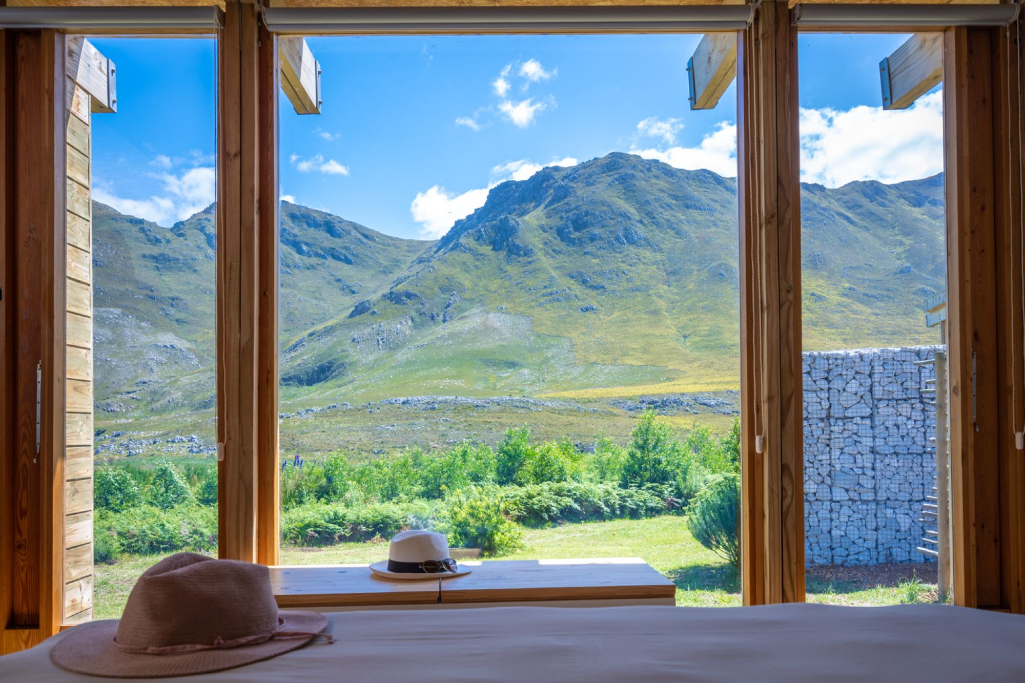 Image related to website content Image related to website content