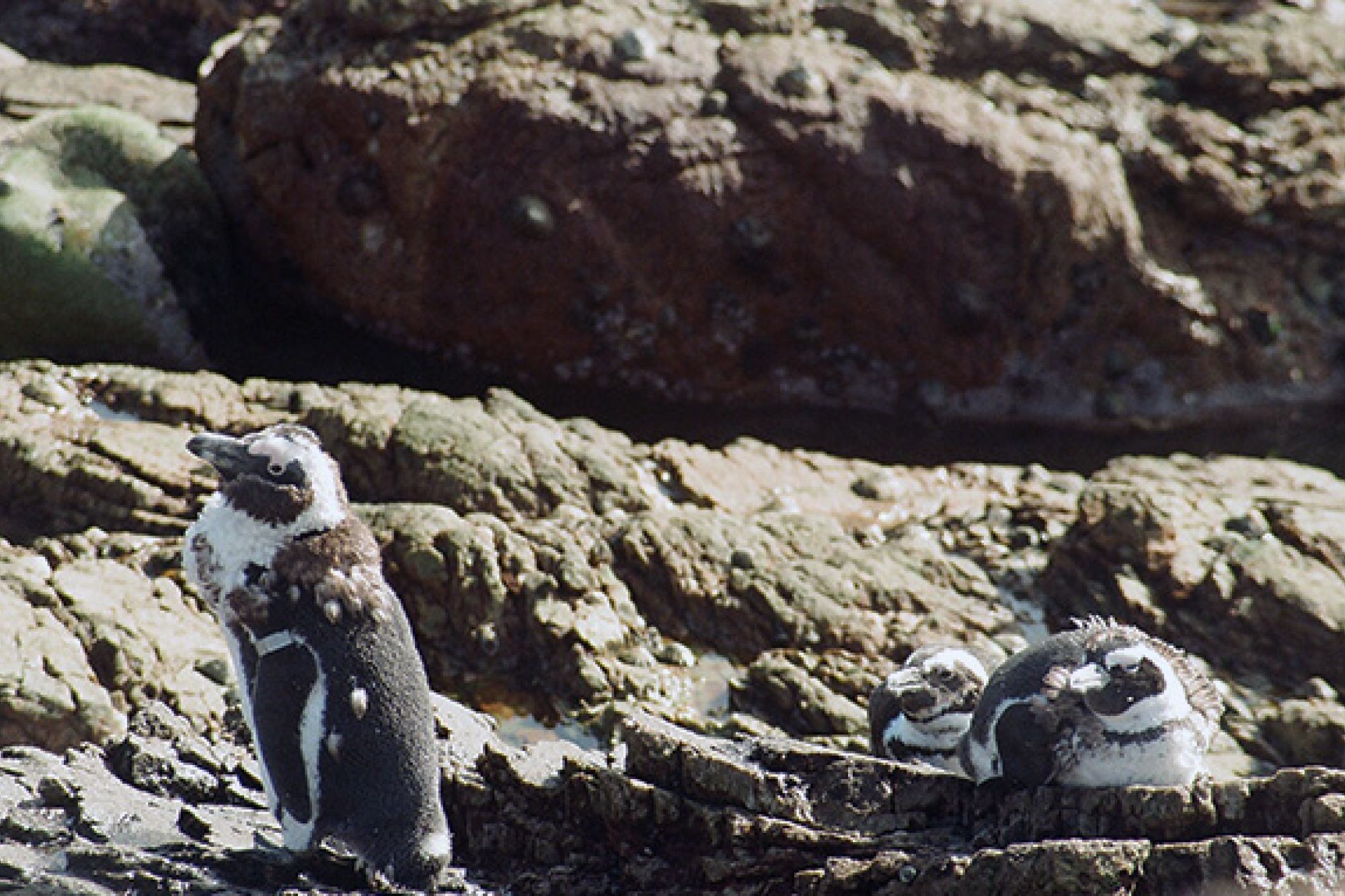 Image related to website content Image related to website content