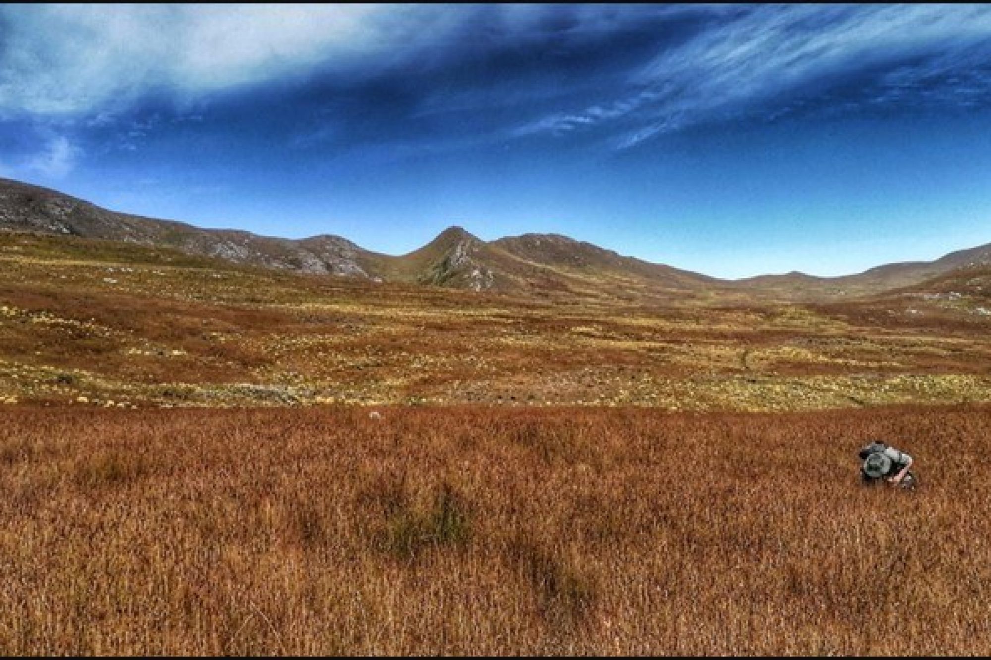 Mount David Wetland seeps Bionerds PTY Ltd 2 Mount David Wetland seeps Bionerds PTY Ltd 2