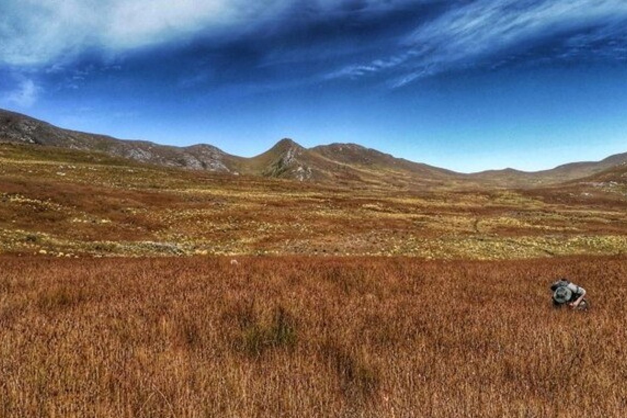 Mount David Wetland seeps Bionerds PTY Ltd New Mount David Wetland seeps Bionerds PTY Ltd New