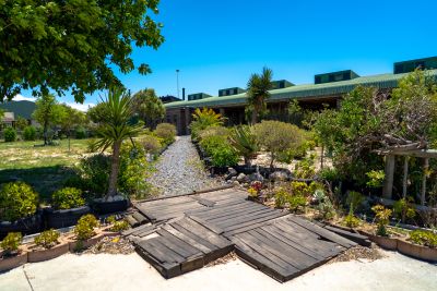 Image related to website content Image related to website content