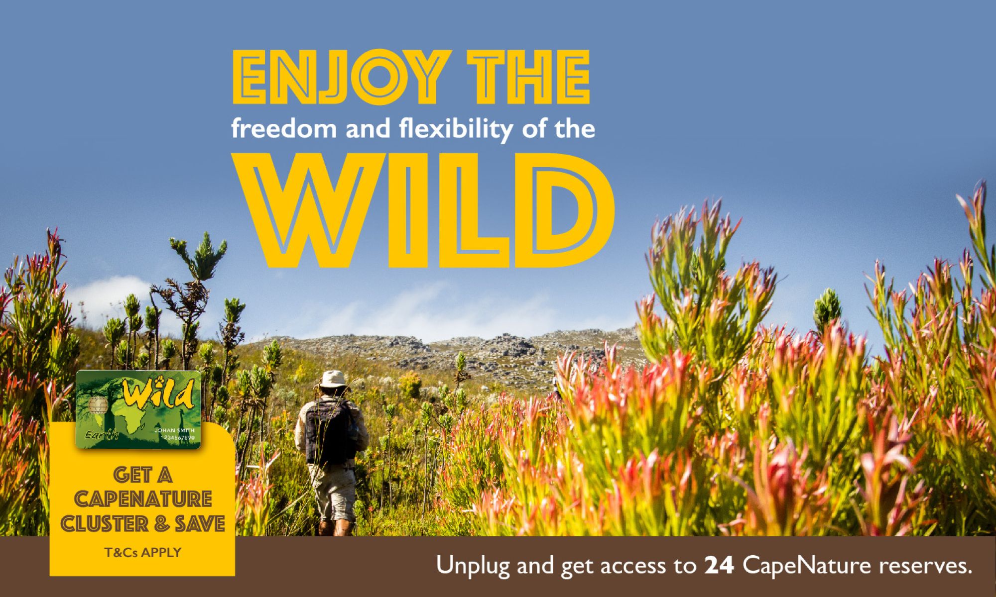 Image related to website content Image related to website content