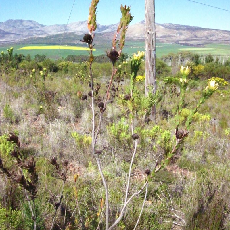 Image related to website content Image related to website content