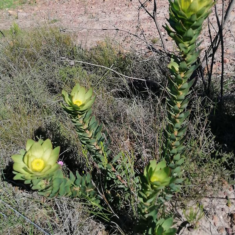 Image related to website content Image related to website content