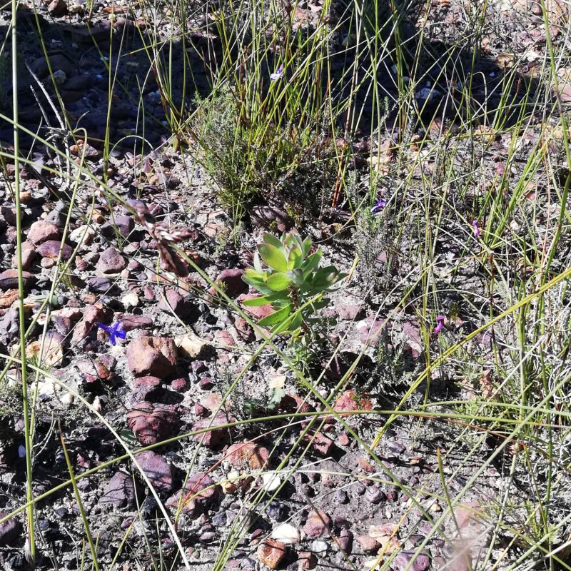 Image related to website content Image related to website content