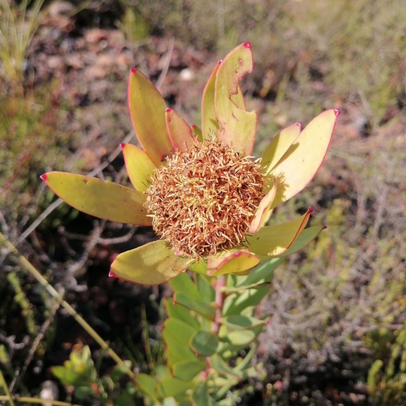 Image related to website content Image related to website content