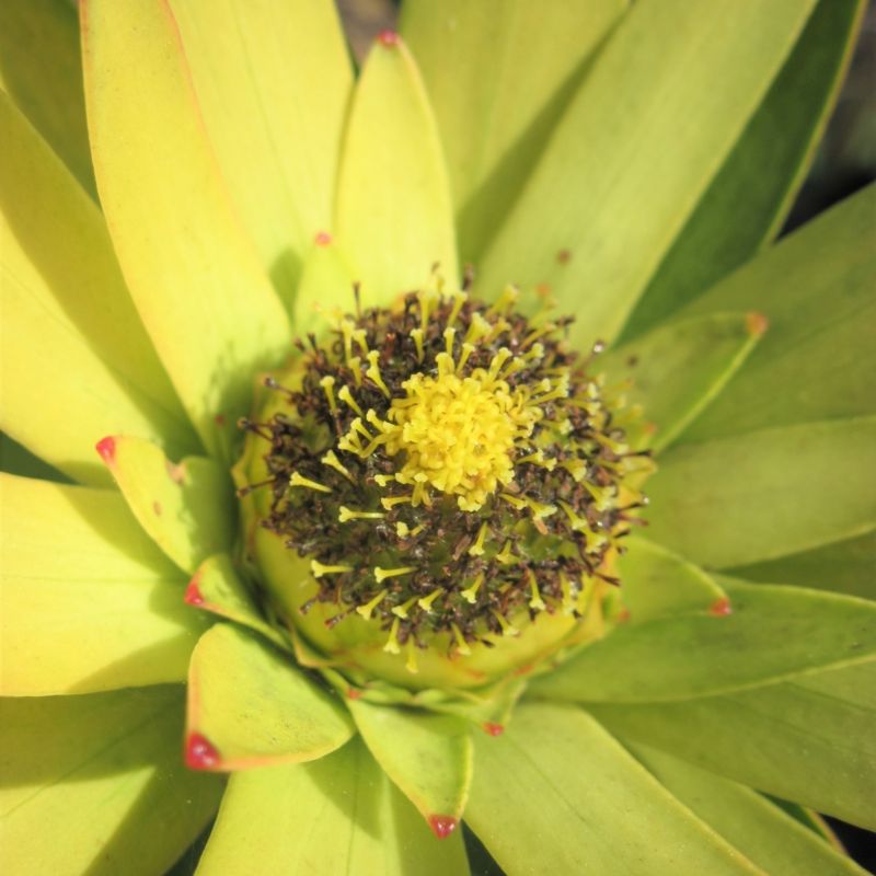 Image related to website content Image related to website content