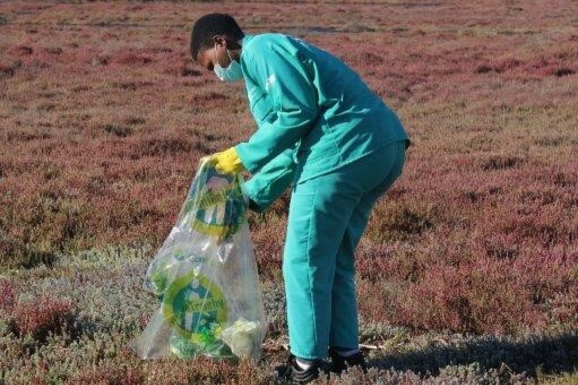 Image related to website content Image related to website content