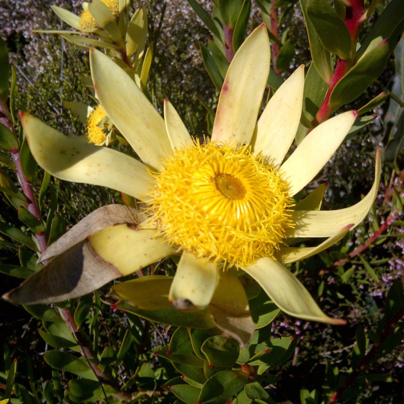 Image related to website content Image related to website content