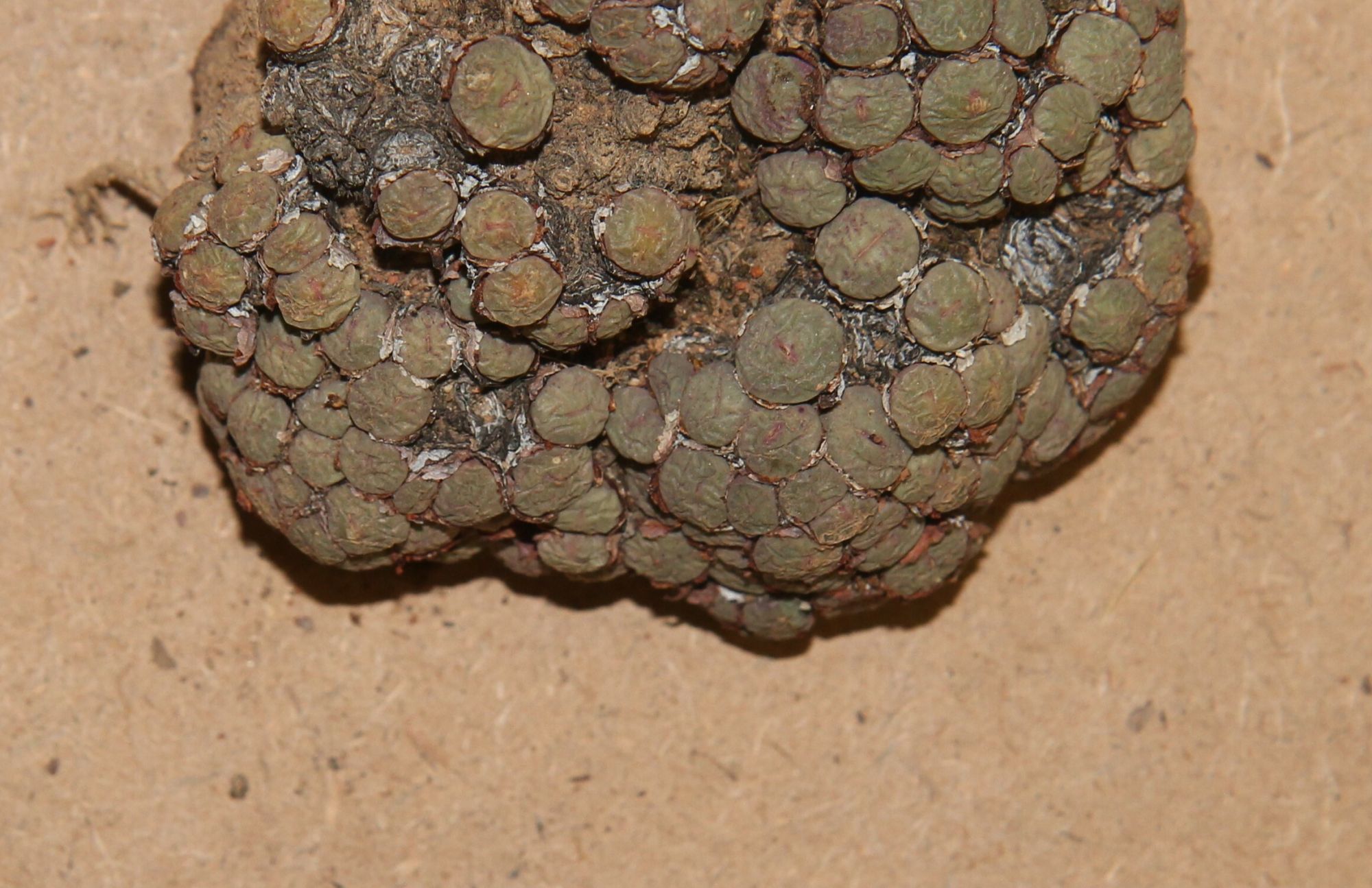 Image related to website content