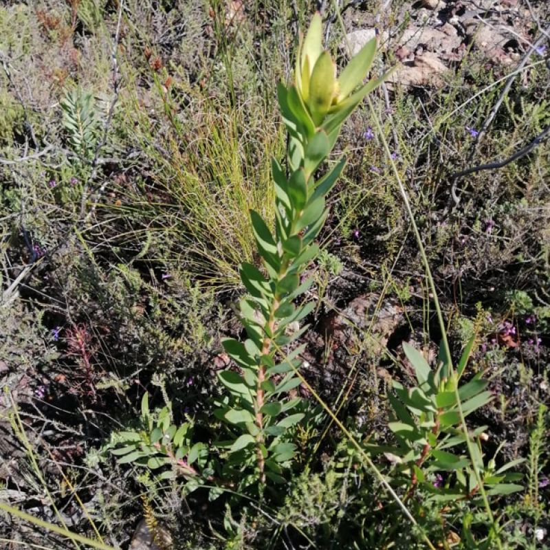 Image related to website content Image related to website content