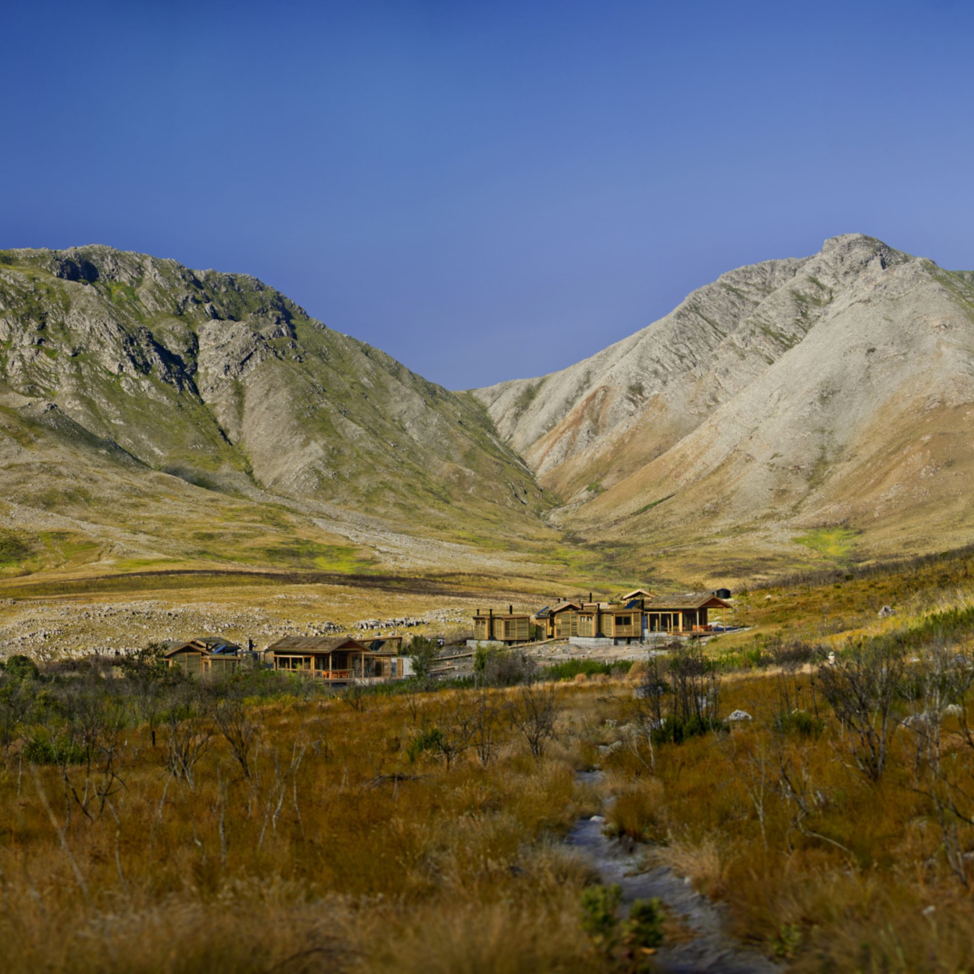 Image related to website content