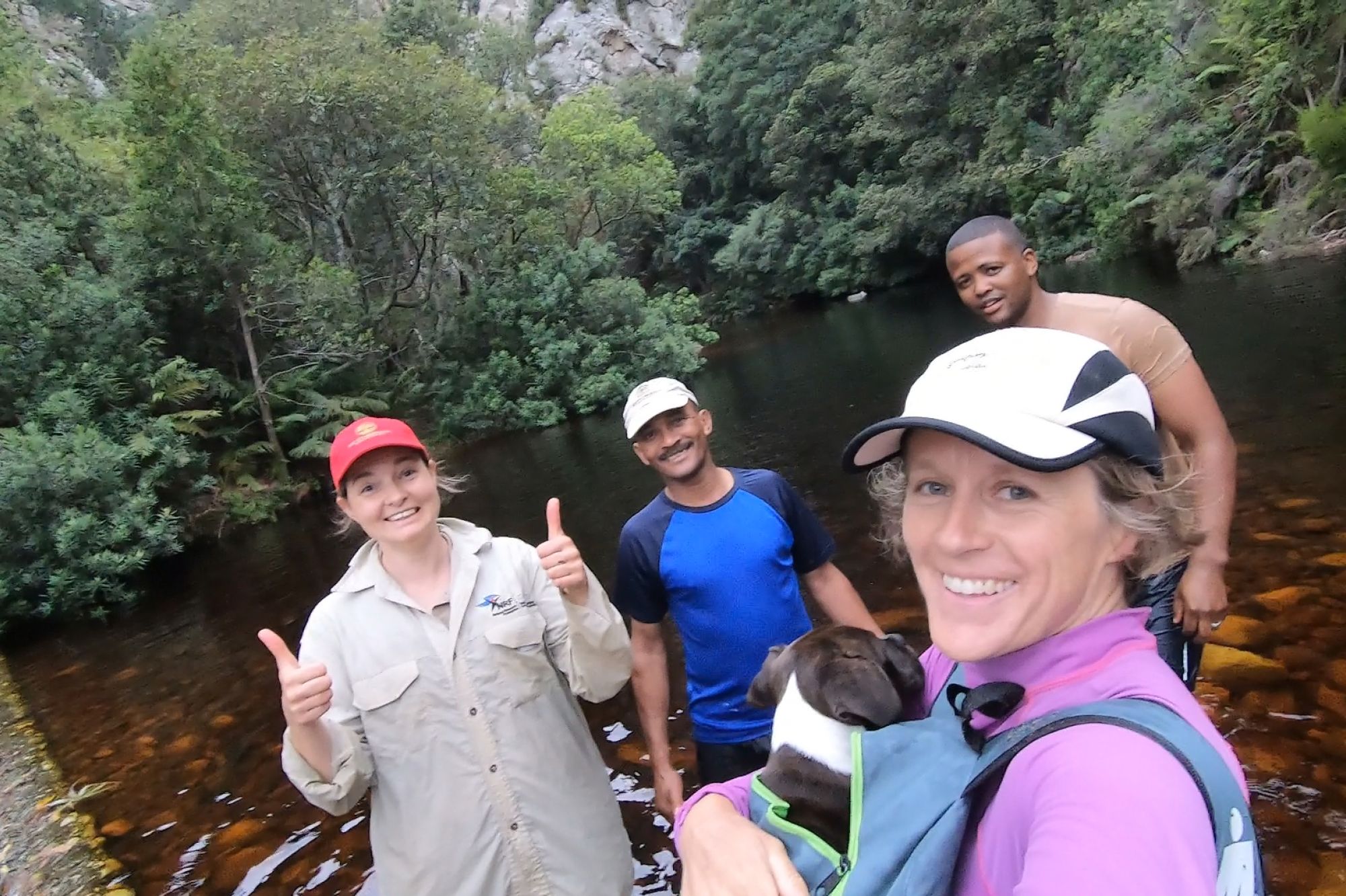 Image related to website content Image related to website content