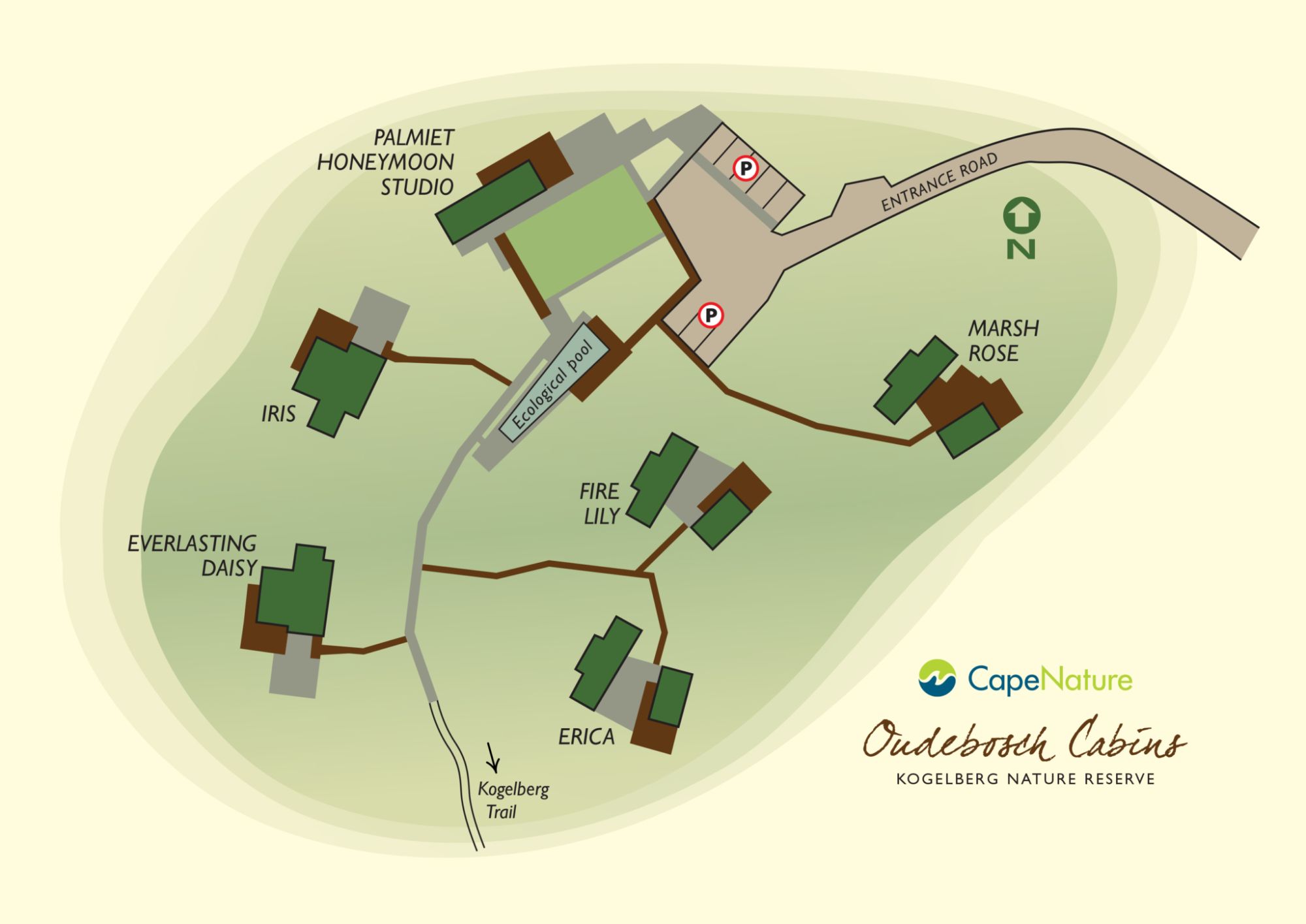 Image related to website content Image related to website content