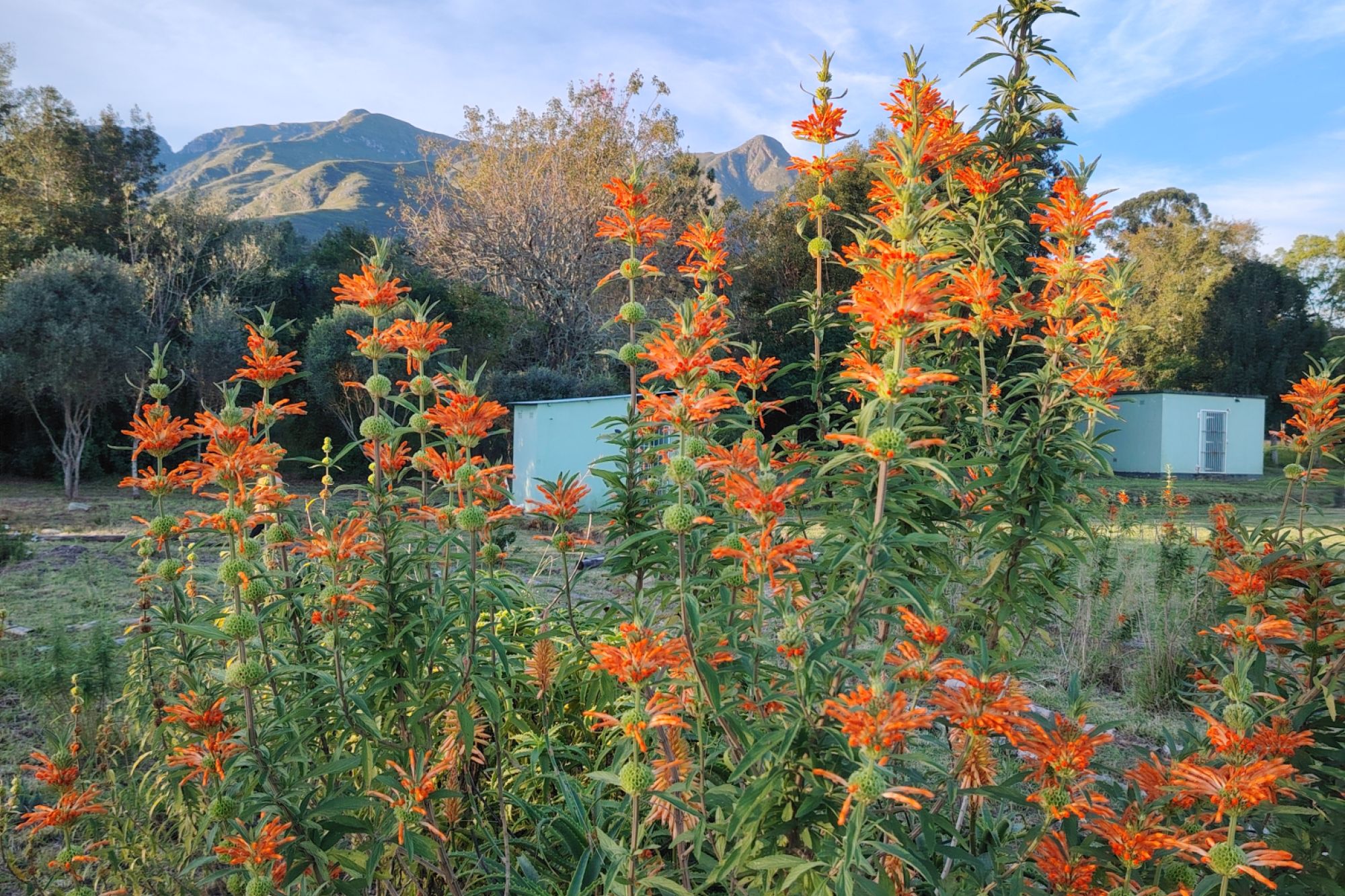 Outeniqua Nature Reserve Outeniqua Nature Reserve