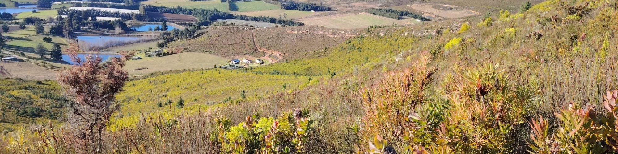 Outeniqua Reserve Outeniqua Reserve