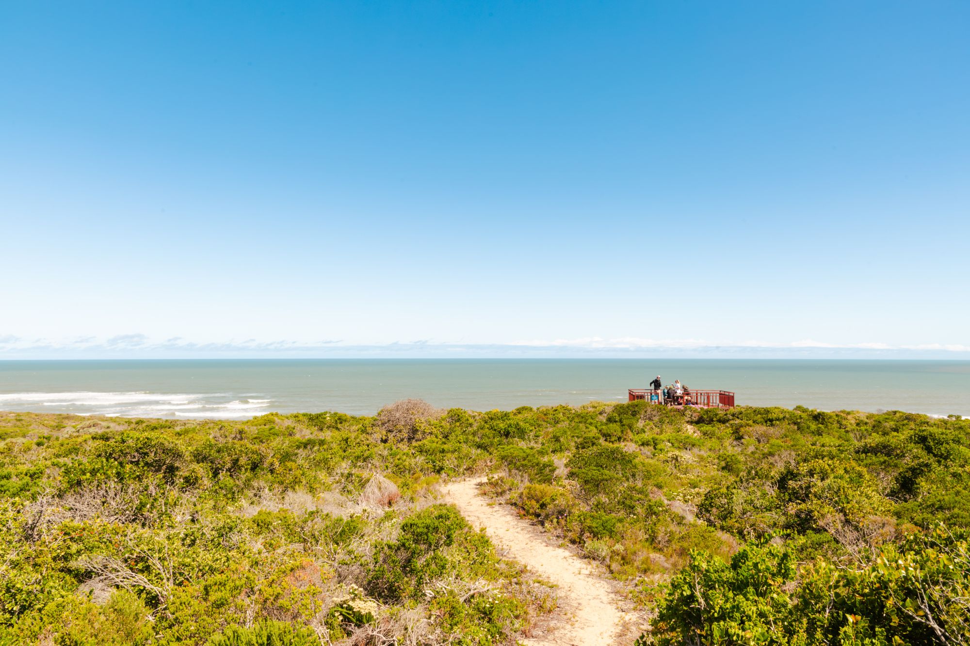 Image related to website content Image related to website content