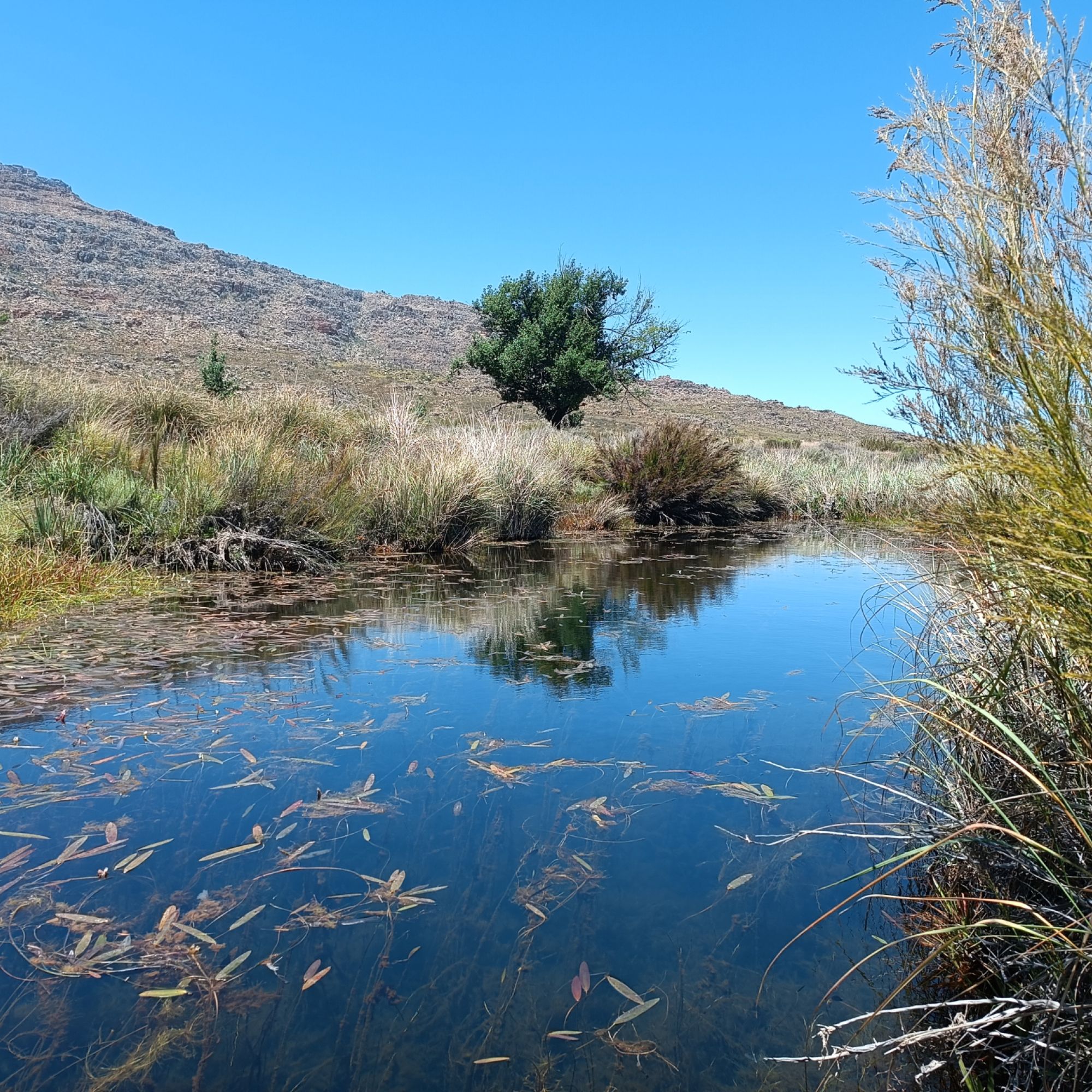 Image related to website content Image related to website content