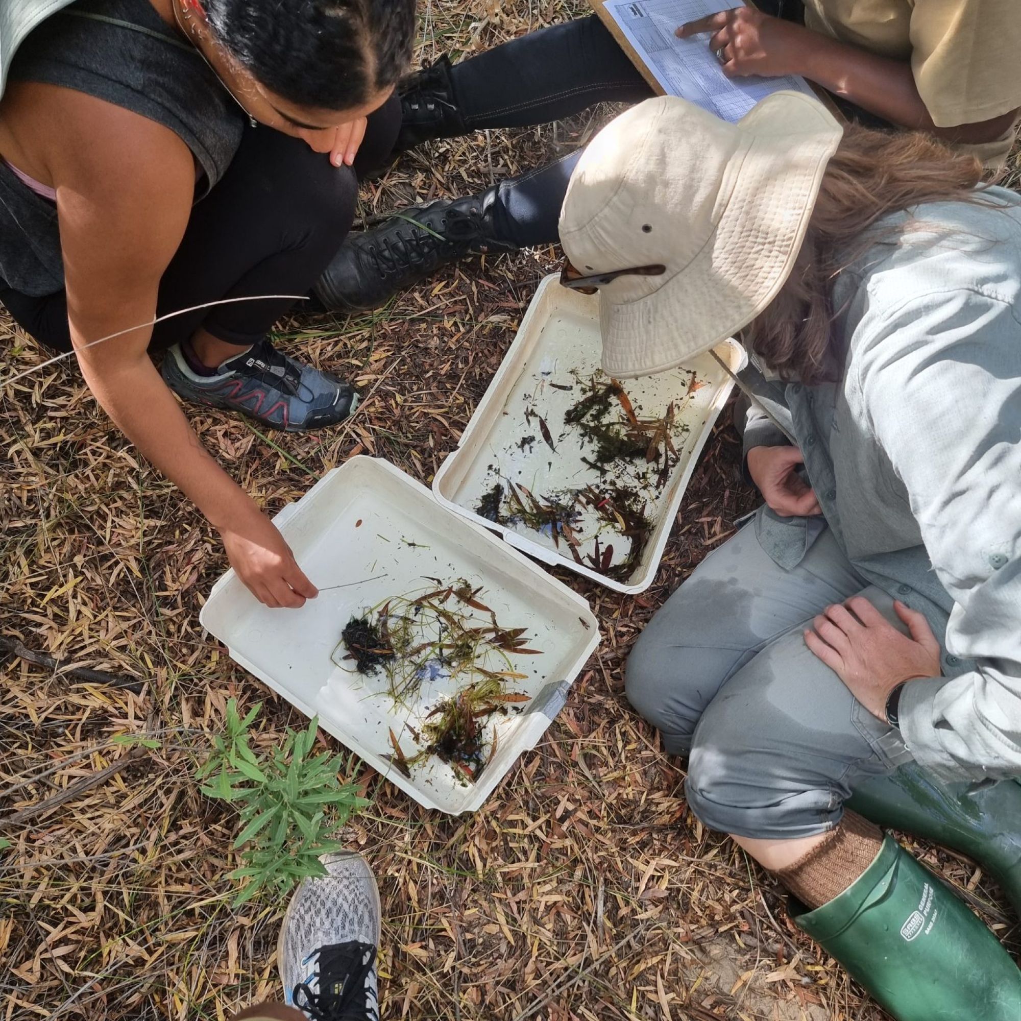 Image related to website content Image related to website content