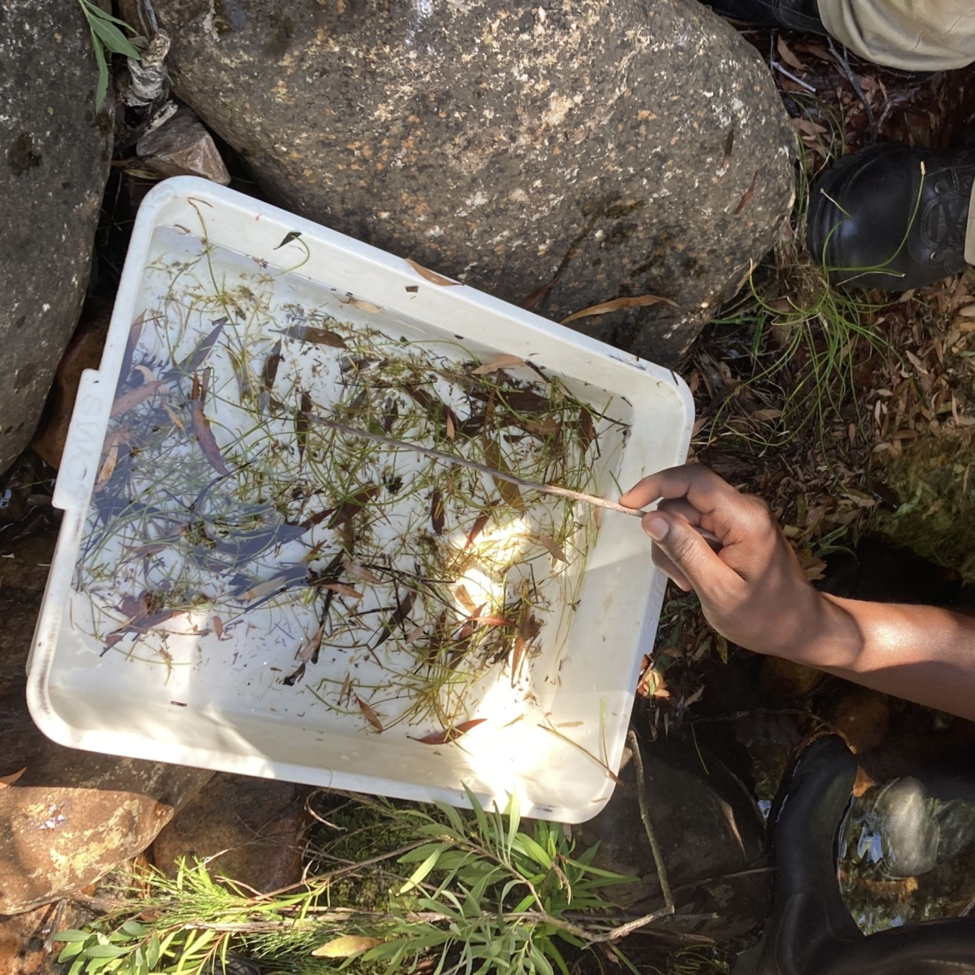 Image related to website content Image related to website content