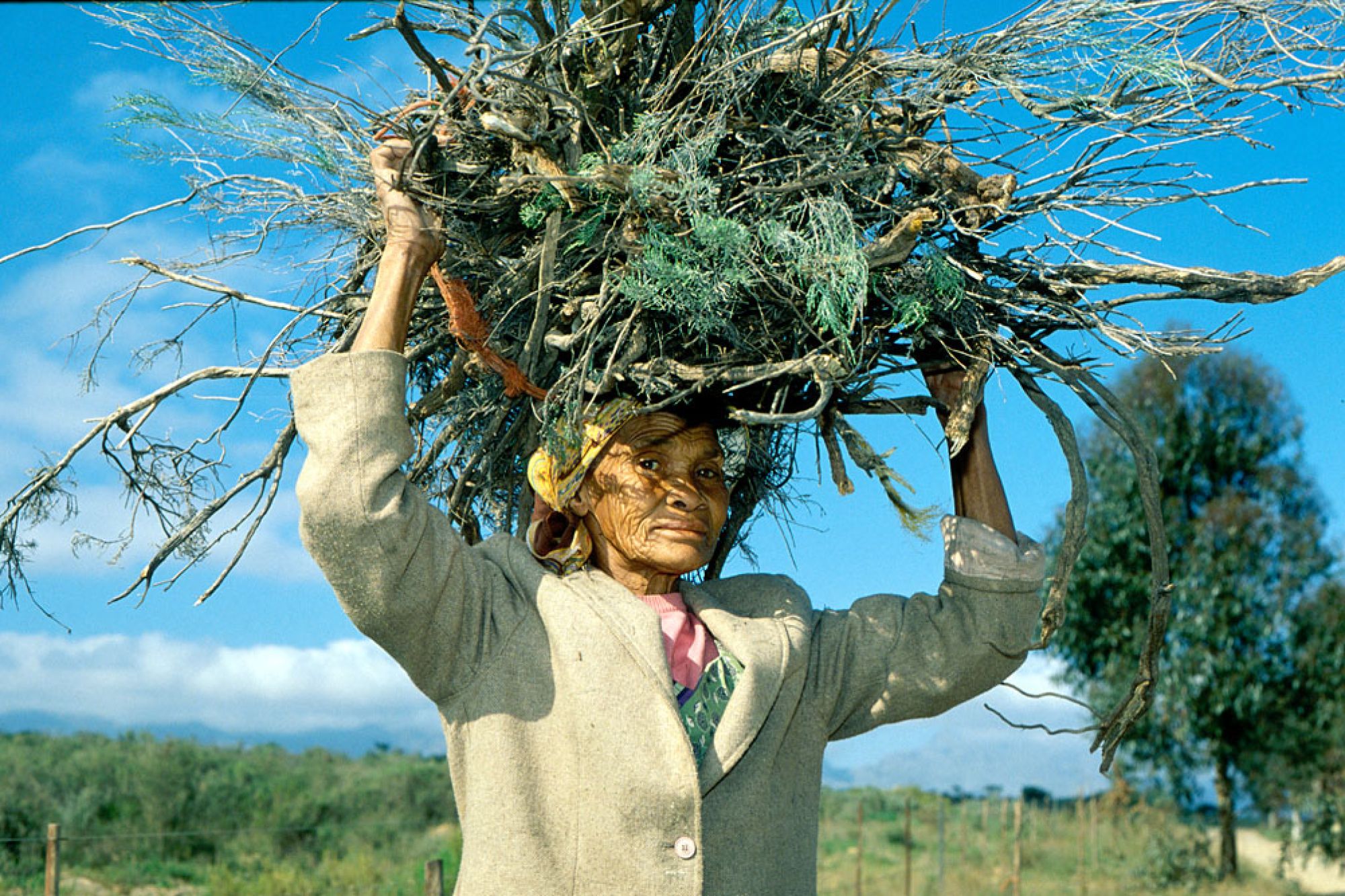 Image related to website content Image related to website content