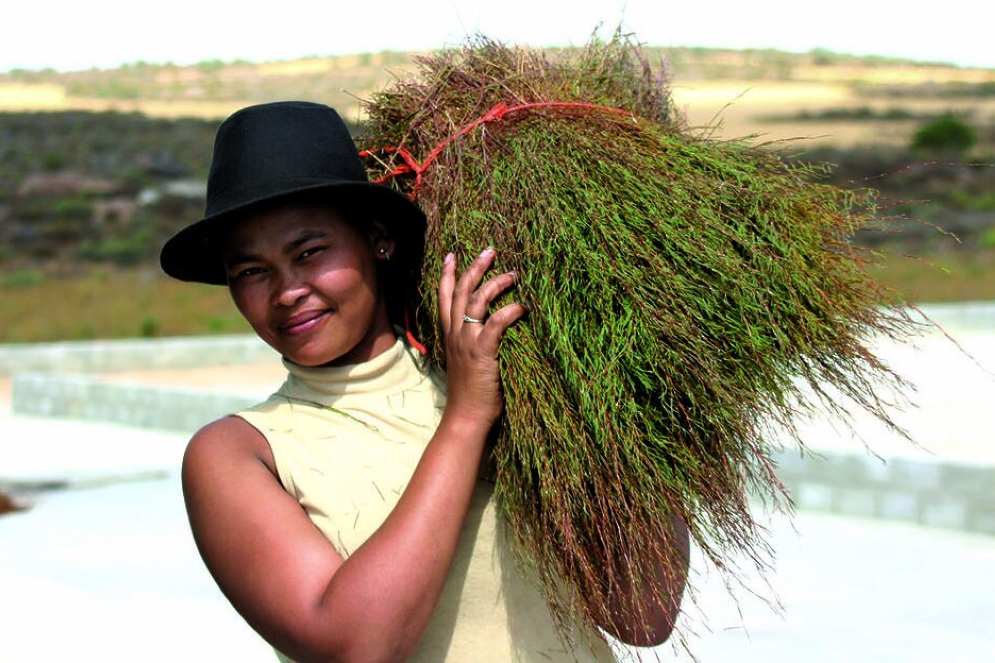 Image related to website content Image related to website content