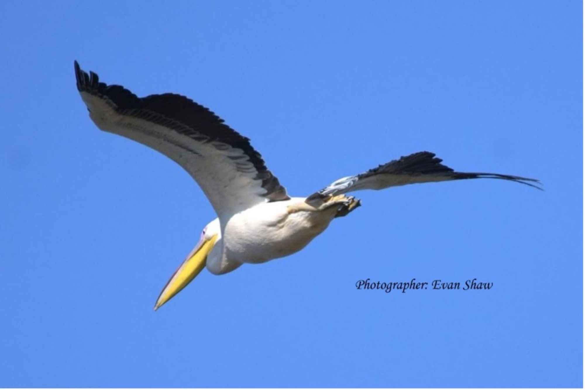 Image related to website content Image related to website content