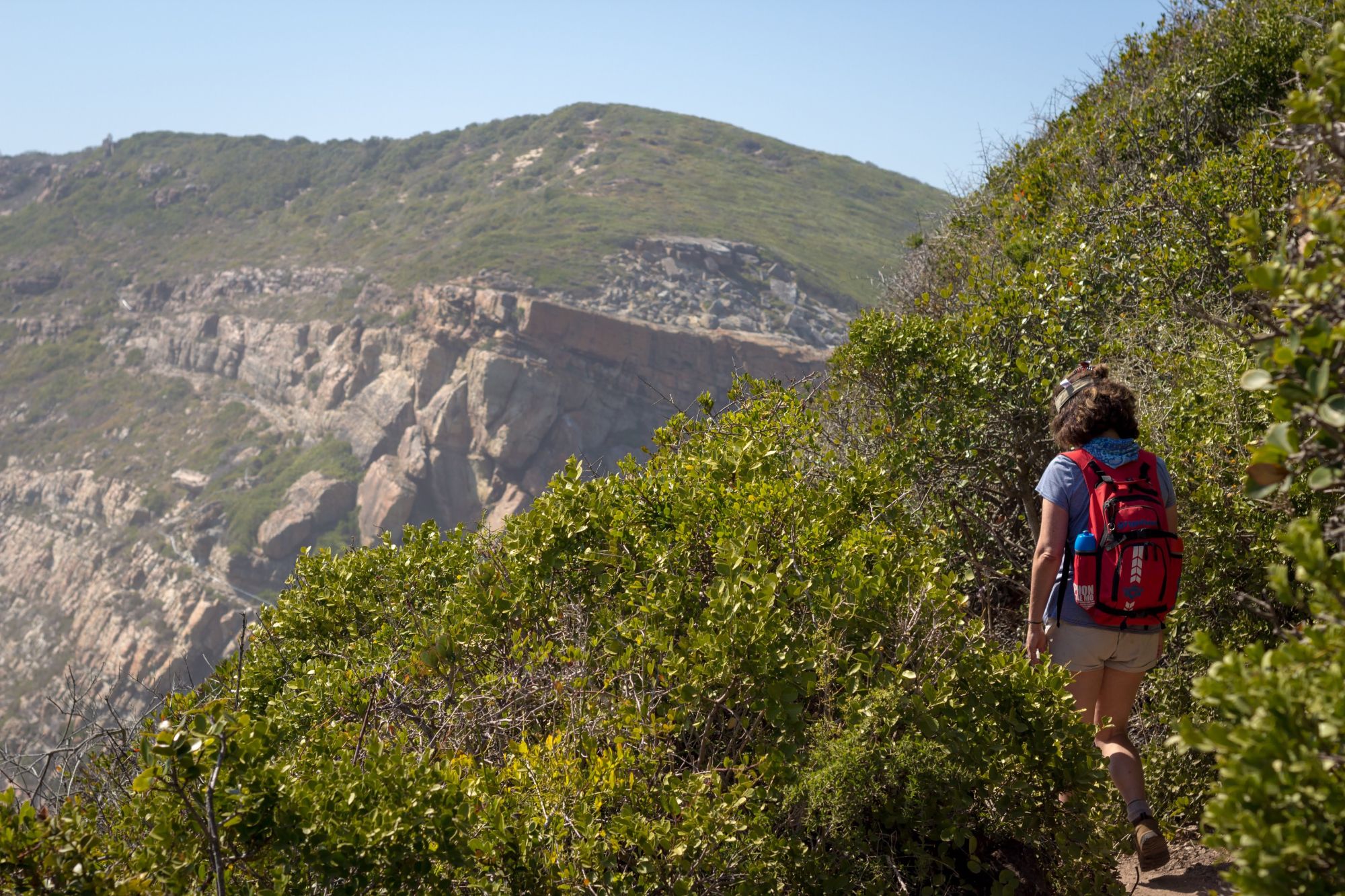 Image related to website content Image related to website content